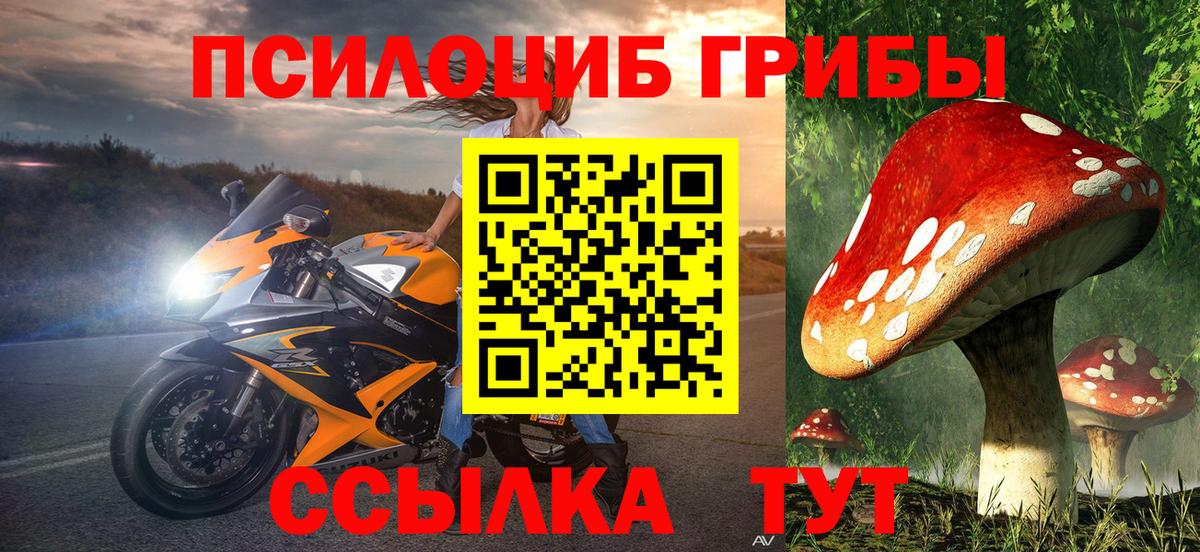 Галлюциногенные грибы Cubensis Куйбышев