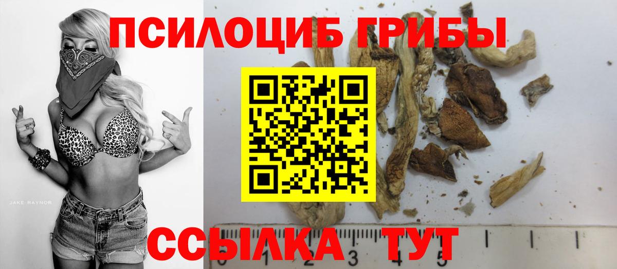 Псилоцибиновые грибы мухоморы  Галлюциногенные грибы Cubensis  Куйбышев  цена   Вход с VPN 